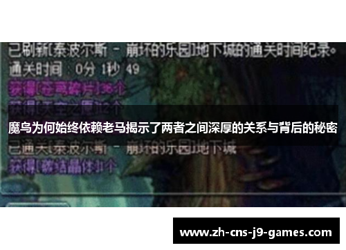 魔鸟为何始终依赖老马揭示了两者之间深厚的关系与背后的秘密