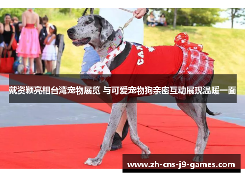 戴资颖亮相台湾宠物展览 与可爱宠物狗亲密互动展现温暖一面 戴资颖亮相台湾宠物展览 与可爱宠物狗亲密互动展现温暖一面